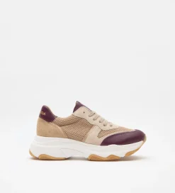 Zapatos|SIMORRA Deportiva alta Beige